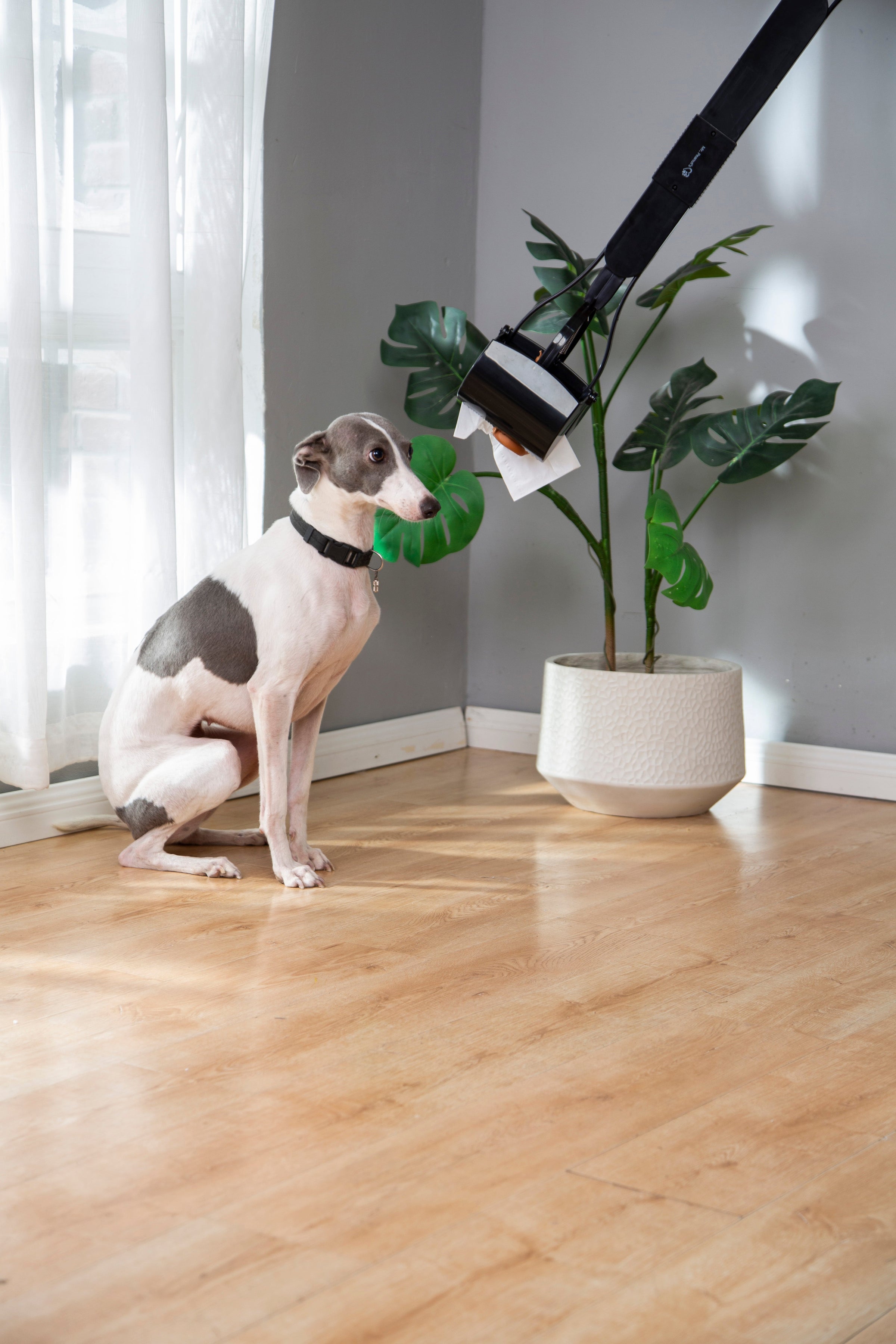 Mr. Peanut's 32" Tall Profile Pooper Scooper - BIG FRENCHIES