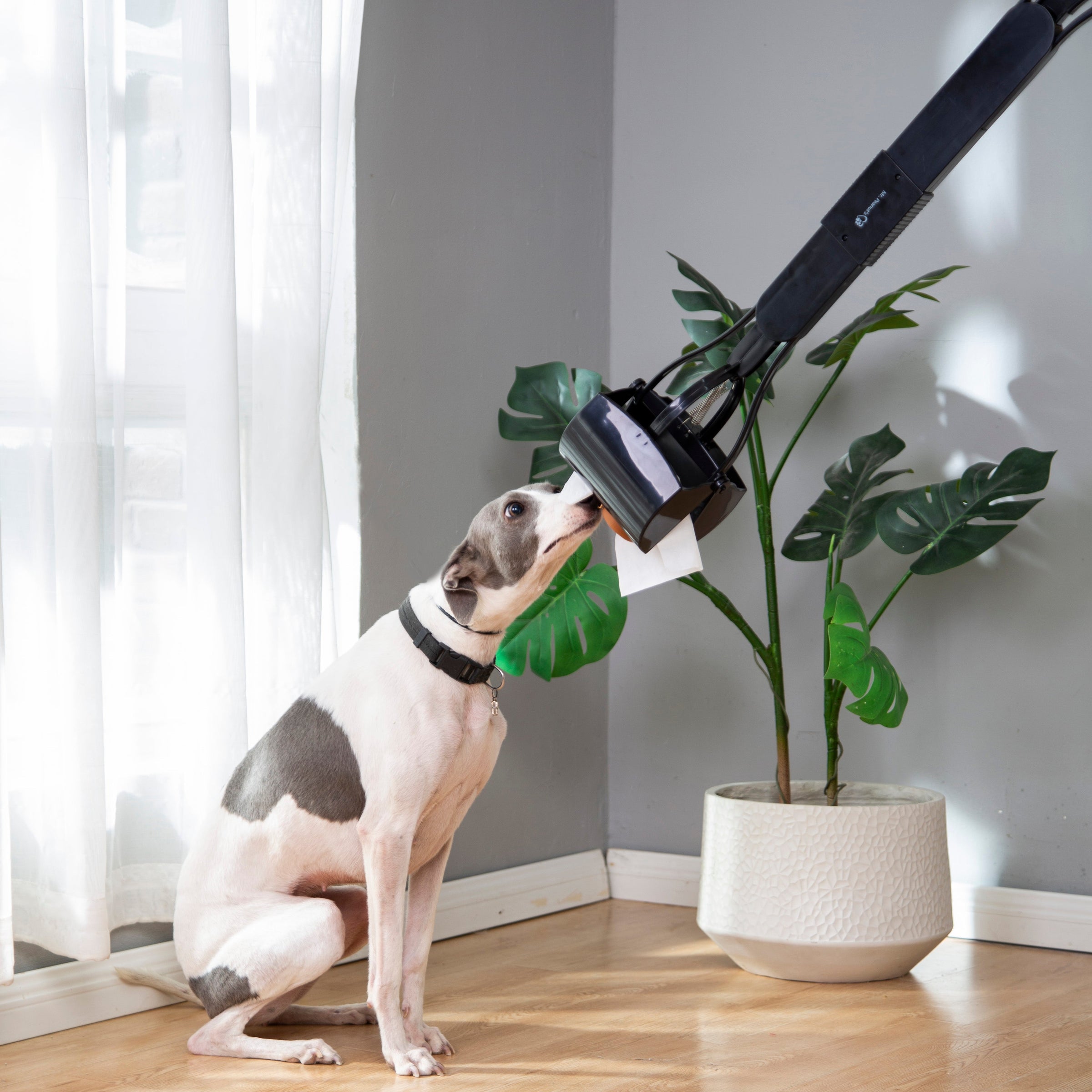 Mr. Peanut's 32" Tall Profile Pooper Scooper - BIG FRENCHIES