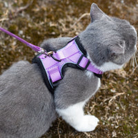 Mr. Peanut's PurrTrek Reflective Cat Harness with Matching Leash - BIG FRENCHIES