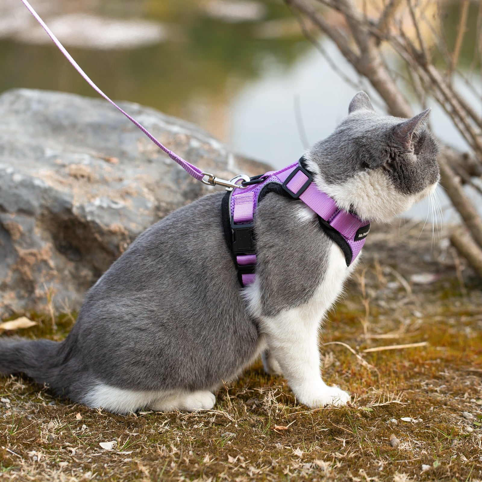 Mr. Peanut's PurrTrek Reflective Cat Harness with Matching Leash - BIG FRENCHIES
