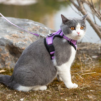 Mr. Peanut's PurrTrek Reflective Cat Harness with Matching Leash - BIG FRENCHIES