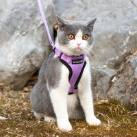 Mr. Peanut's PurrTrek Reflective Cat Harness with Matching Leash - BIG FRENCHIES