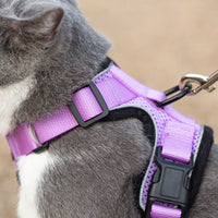Mr. Peanut's PurrTrek Reflective Cat Harness with Matching Leash - BIG FRENCHIES