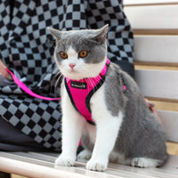 Mr. Peanut's PurrTrek Reflective Cat Harness with Matching Leash - BIG FRENCHIES