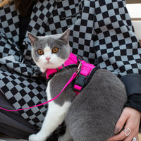 Mr. Peanut's PurrTrek Reflective Cat Harness with Matching Leash - BIG FRENCHIES