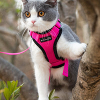 Mr. Peanut's PurrTrek Reflective Cat Harness with Matching Leash - BIG FRENCHIES