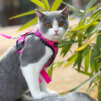 Mr. Peanut's PurrTrek Reflective Cat Harness with Matching Leash - BIG FRENCHIES