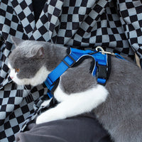 Mr. Peanut's PurrTrek Reflective Cat Harness with Matching Leash - BIG FRENCHIES