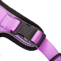 Mr. Peanut's PurrTrek Reflective Cat Harness with Matching Leash - BIG FRENCHIES