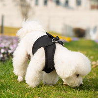 Mr. Peanut's PupTrek Soft Mesh Pet Harness with Matching Leash – Adjustable, Breathable, Choke-Free - BIG FRENCHIES