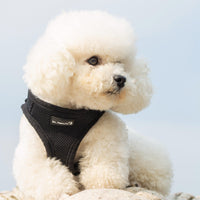 Mr. Peanut's PupTrek Soft Mesh Pet Harness with Matching Leash – Adjustable, Breathable, Choke-Free - BIG FRENCHIES
