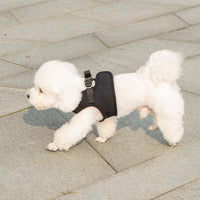 Mr. Peanut's PupTrek Soft Mesh Pet Harness with Matching Leash – Adjustable, Breathable, Choke-Free - BIG FRENCHIES