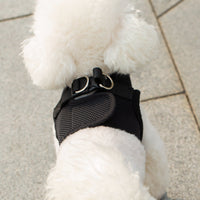 Mr. Peanut's PupTrek Soft Mesh Pet Harness with Matching Leash – Adjustable, Breathable, Choke-Free - BIG FRENCHIES