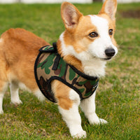 Mr. Peanut's PupTrek Soft Mesh Pet Harness with Matching Leash – Adjustable, Breathable, Choke-Free - BIG FRENCHIES