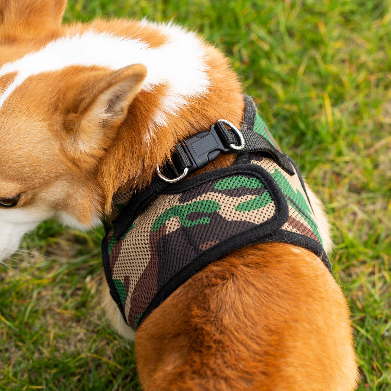 Mr. Peanut's PupTrek Soft Mesh Pet Harness with Matching Leash – Adjustable, Breathable, Choke-Free - BIG FRENCHIES