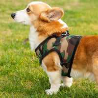 Mr. Peanut's PupTrek Soft Mesh Pet Harness with Matching Leash – Adjustable, Breathable, Choke-Free - BIG FRENCHIES