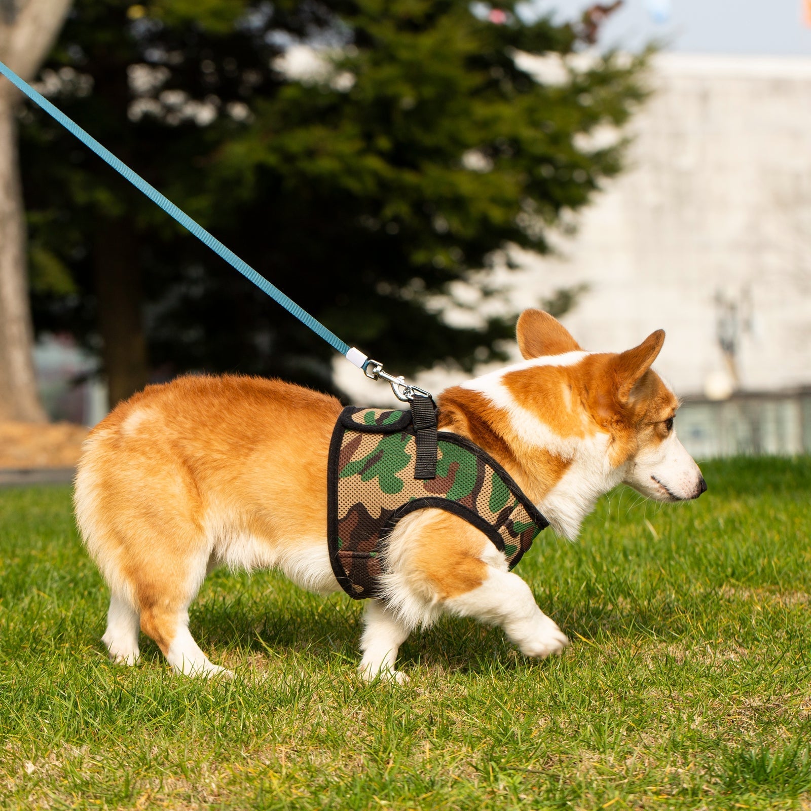 Mr. Peanut's PupTrek Soft Mesh Pet Harness with Matching Leash – Adjustable, Breathable, Choke-Free - BIG FRENCHIES