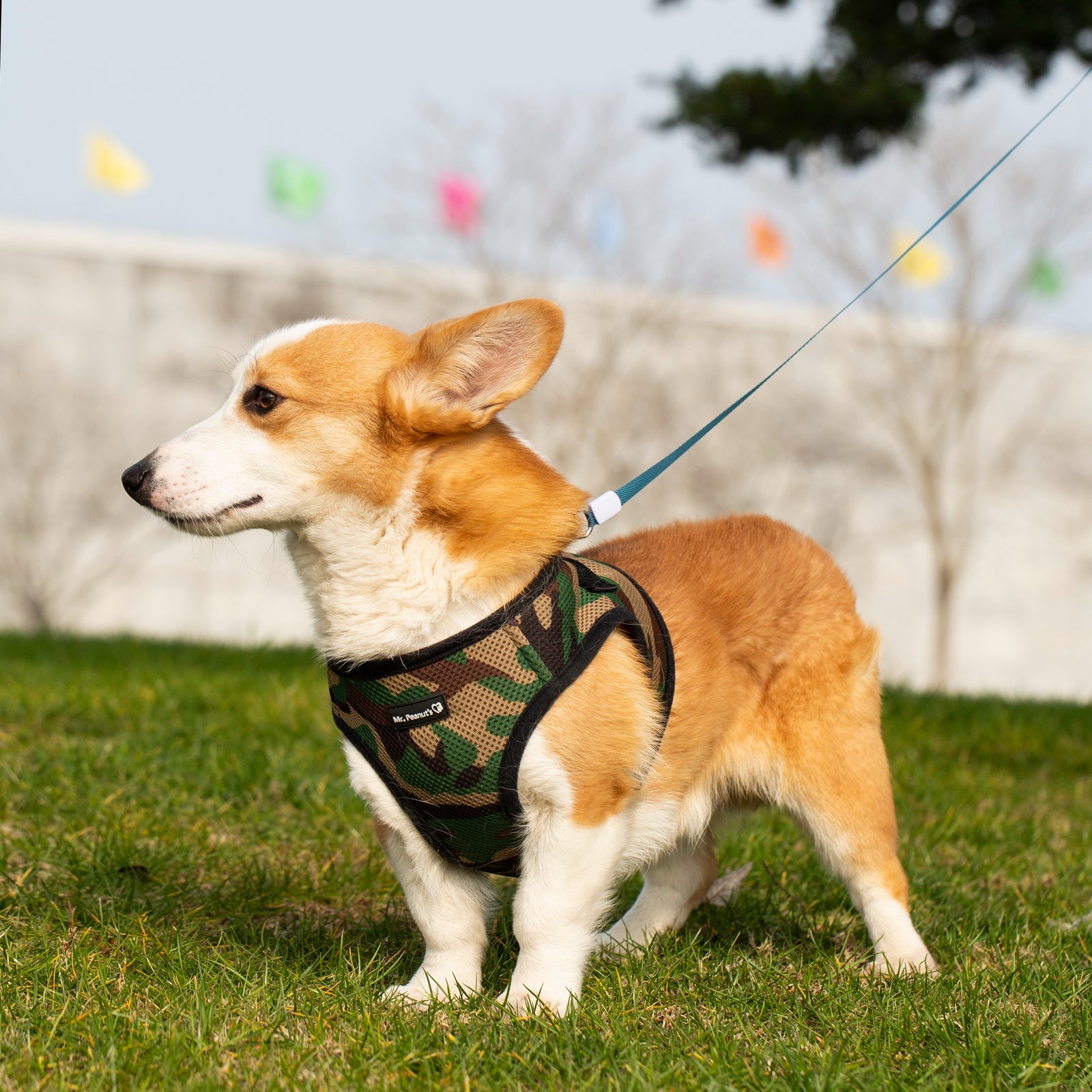 Mr. Peanut's PupTrek Soft Mesh Pet Harness with Matching Leash – Adjustable, Breathable, Choke-Free - BIG FRENCHIES