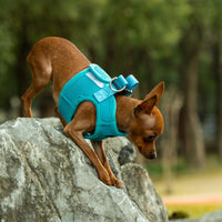 Mr. Peanut's PupTrek Soft Mesh Pet Harness with Matching Leash – Adjustable, Breathable, Choke-Free - BIG FRENCHIES