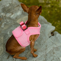 Mr. Peanut's PupTrek Soft Mesh Pet Harness with Matching Leash – Adjustable, Breathable, Choke-Free - BIG FRENCHIES