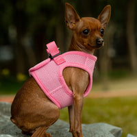 Mr. Peanut's PupTrek Soft Mesh Pet Harness with Matching Leash – Adjustable, Breathable, Choke-Free - BIG FRENCHIES