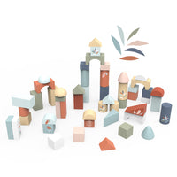 Building blocks (50 pieces)