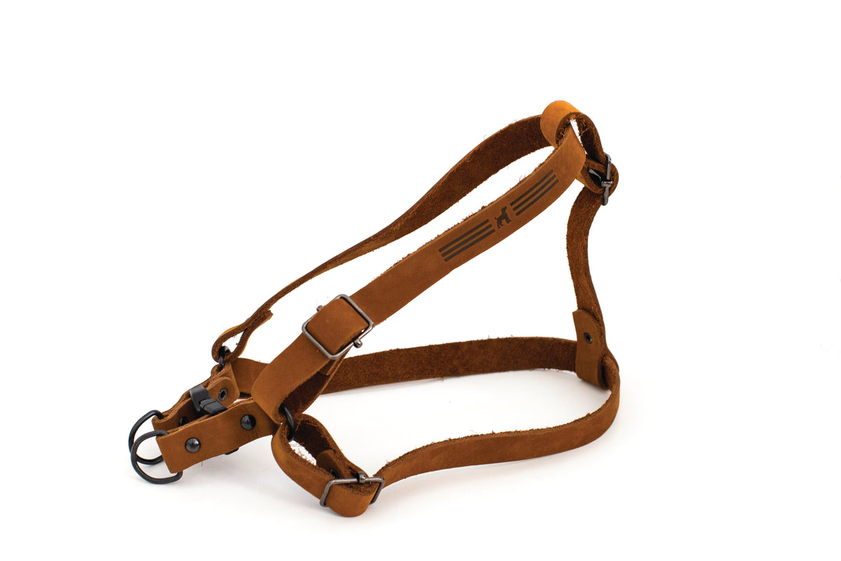 Sport Style Leather Step In Harness - BIG FRENCHIES