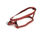 Sport Style Leather Step In Harness - BIG FRENCHIES