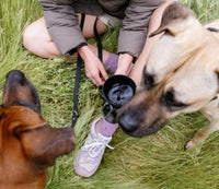 20oz Flip Dog Travel Water Bottle - BIG FRENCHIES