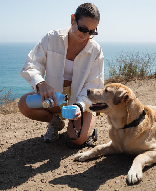24oz Dog & Me Insulated Water Bottle - BIG FRENCHIES