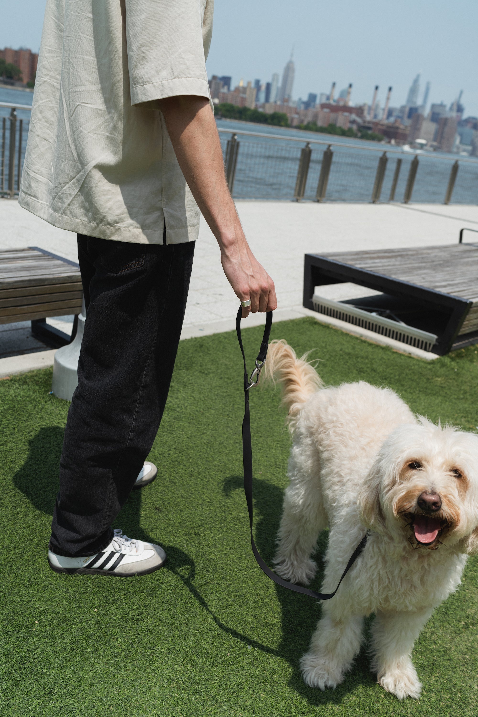 Original City Dog Leash - 3.25ft - BIG FRENCHIES