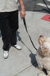 Original City Dog Leash - 3.25ft - BIG FRENCHIES