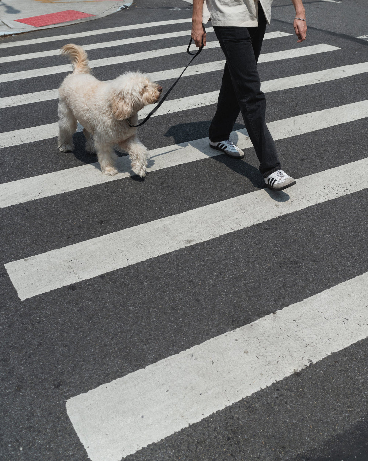 Original City Dog Leash - 3.25ft - BIG FRENCHIES