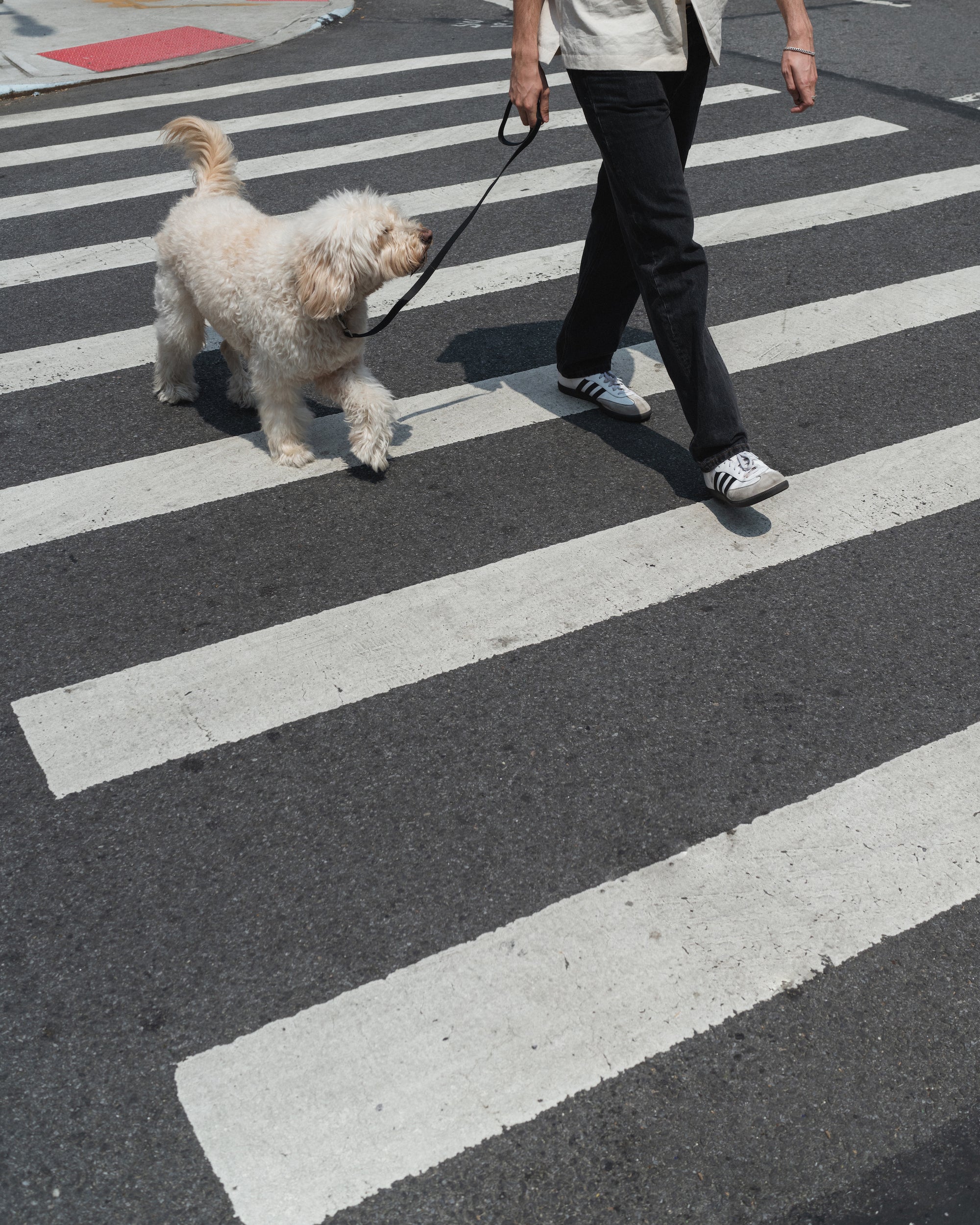 Original City Dog Leash - 3.25ft - BIG FRENCHIES