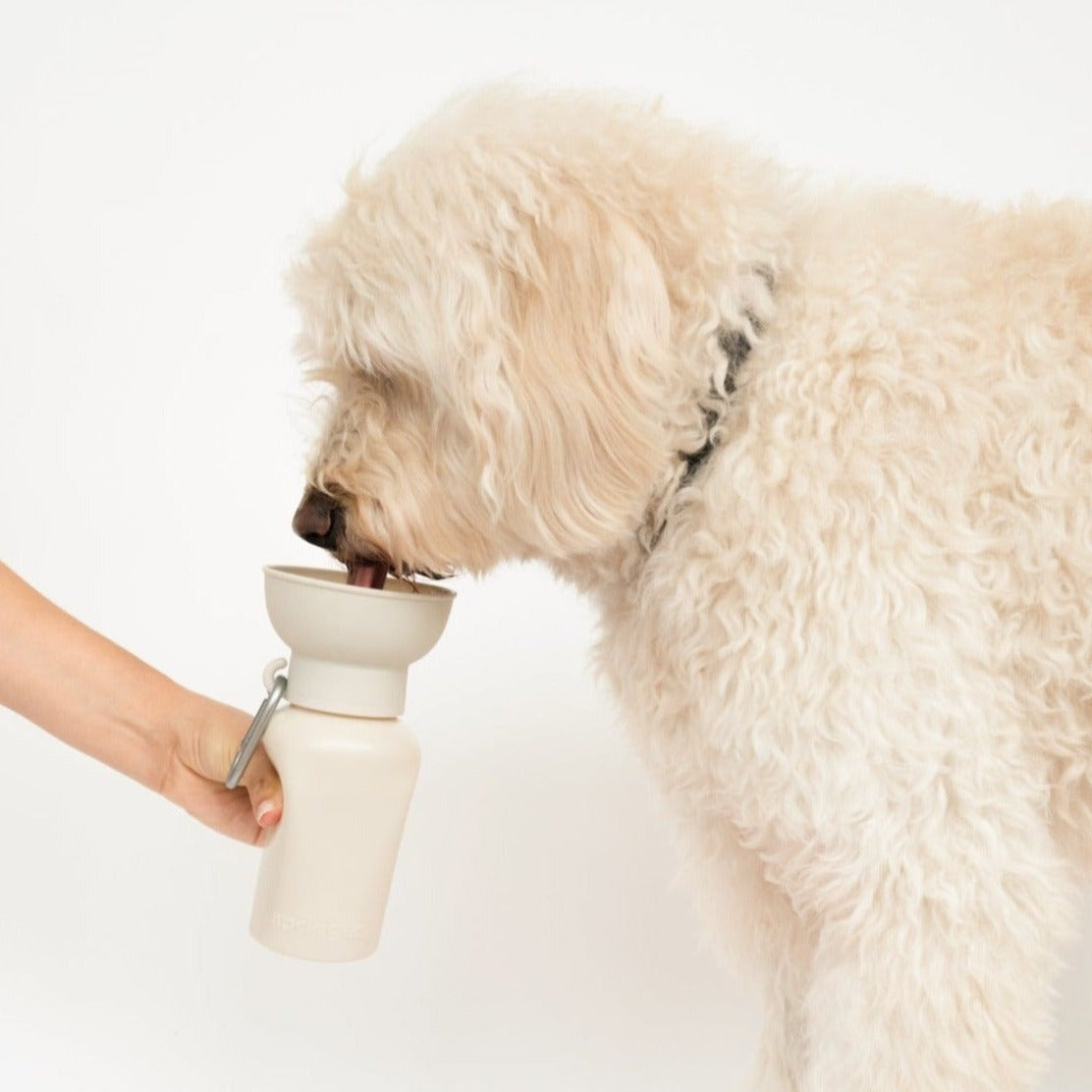 20oz Flip Dog Travel Water Bottle - BIG FRENCHIES