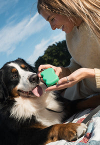Silicone Dog Treat Dispenser - BIG FRENCHIES