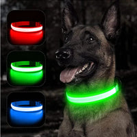 LED Pet Dog Collar for Night Safety | Bright USB Rechargeable - BIG FRENCHIES