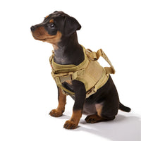 Tactical Puppy Harness Leash Set – Adjustable Military-Style Vest for Small Dogs & Cats, Ideal for Training & Walking - BIG FRENCHIES