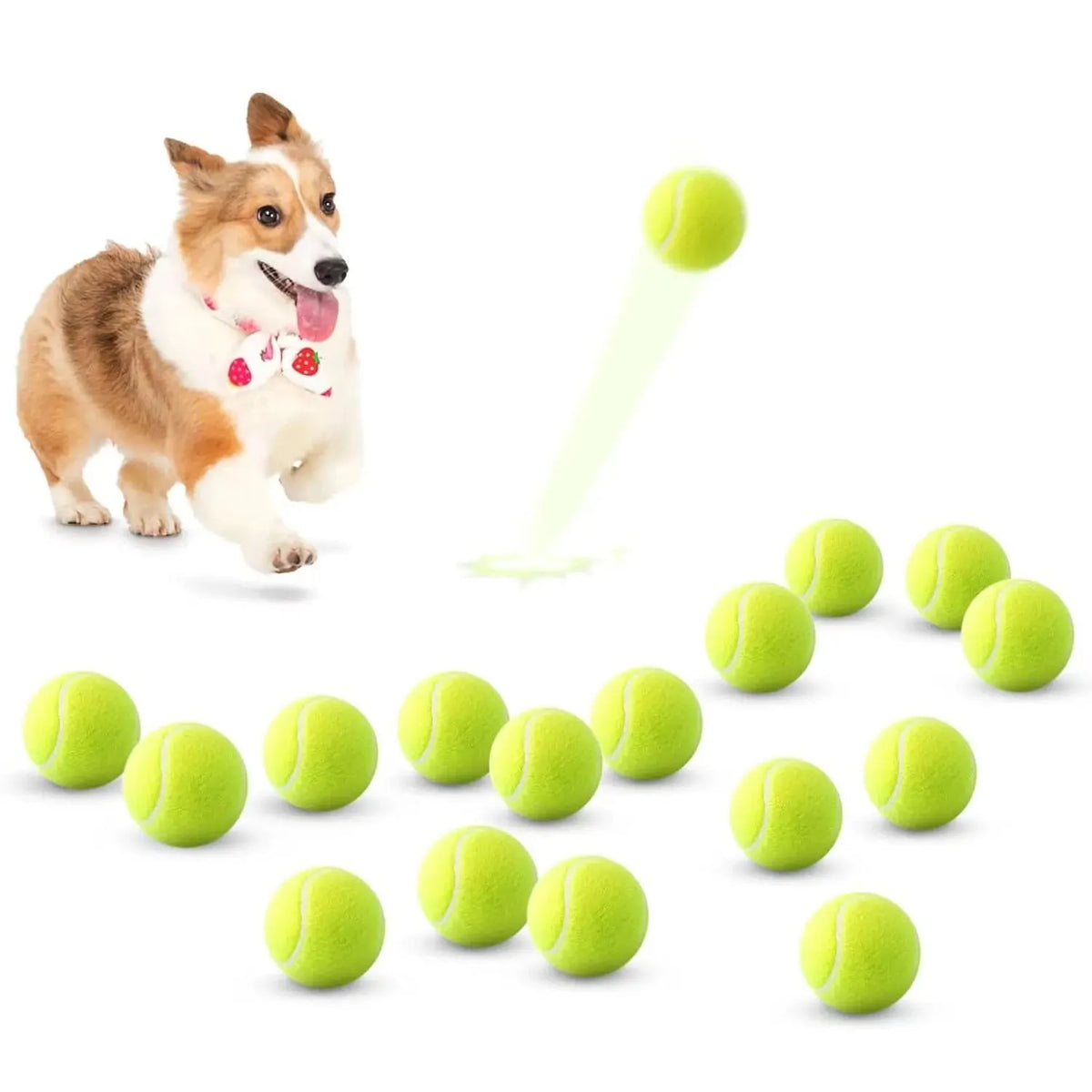 Tennis Balls for Dogs – 2-Inch Small Dog Balls Compatible with Automatic Ball Launchers (12 Pack) - BIG FRENCHIES