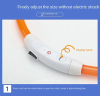 LED Pet Dog Collar for Night Safety | Bright USB Rechargeable - BIG FRENCHIES