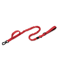 Durable Nylon Dog Collar with Reflective Leash Set - BIG FRENCHIES