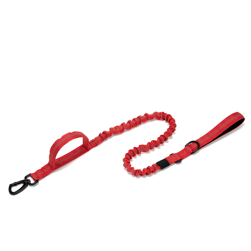 Durable Nylon Dog Collar with Reflective Leash Set - BIG FRENCHIES