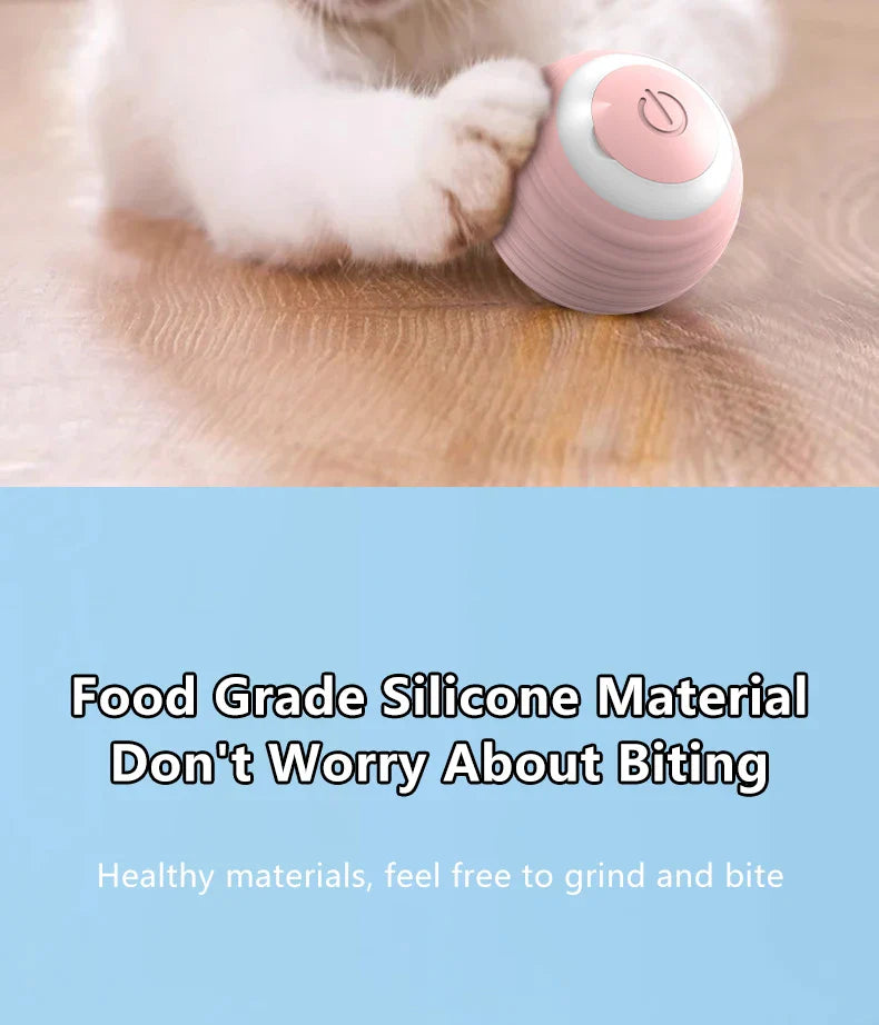 Smart Cat Toy Ball: Auto-Rolling for Active Play - BIG FRENCHIES