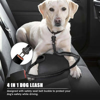 Reflective Shock Absorbing Bungee Dog Leash with Seatbelt Clip - BIG FRENCHIES