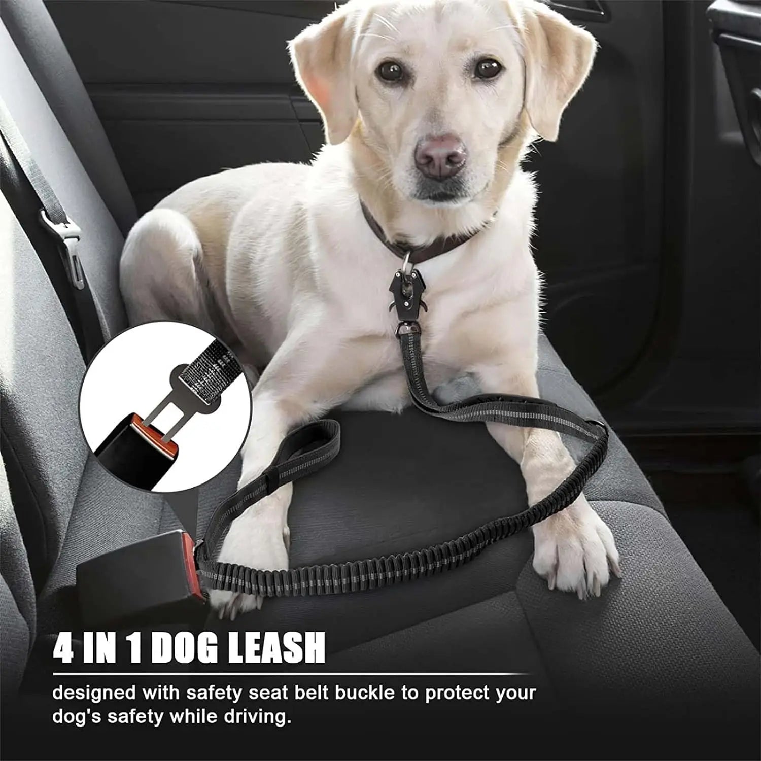 Reflective Shock Absorbing Bungee Dog Leash with Seatbelt Clip - BIG FRENCHIES