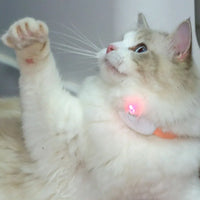 Smart Laser Cat Teaser Collar – Rechargeable Infrared Interactive Toy - BIG FRENCHIES