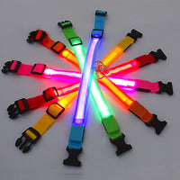 LED Pet Dog Collar for Night Safety | Bright USB Rechargeable - BIG FRENCHIES