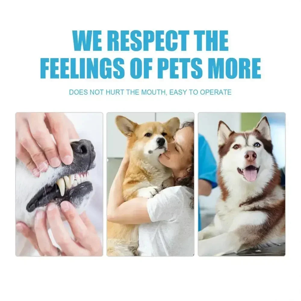 Complete Pet Toothbrush And Toothpaste Kit - BIG FRENCHIES