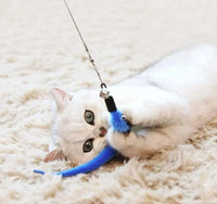 11PCS Cat Feather Toy Set – Replacement Feather Heads & Retractable Cat Wand Interactive Teaser Toys - BIG FRENCHIES