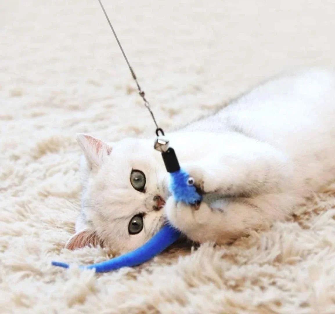 11PCS Cat Feather Toy Set – Replacement Feather Heads & Retractable Cat Wand Interactive Teaser Toys - BIG FRENCHIES